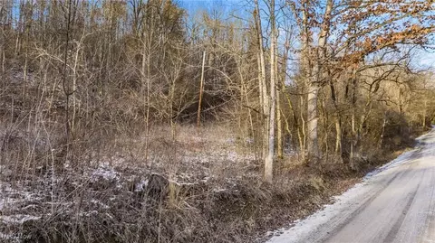 0 Skull Fork Rd, Freeport, OH 43973 photo 22