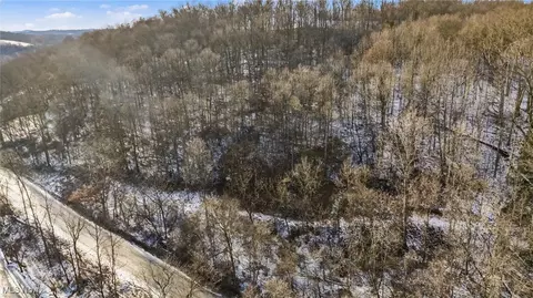 0 Skull Fork Rd, Freeport, OH 43973 photo 9