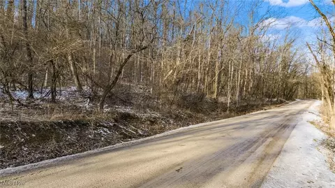0 Skull Fork Rd, Freeport, OH 43973 photo 19