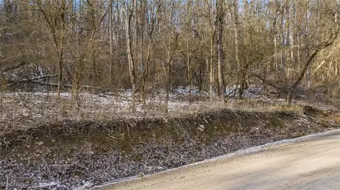 0 Skull Fork Rd, Freeport, OH 43973 photo 20
