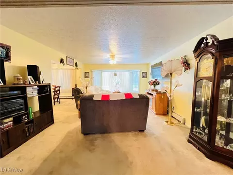 Other - 5126 Chestnut Hill Dr, Ashtabula, OH 44004 photo 10 of 18