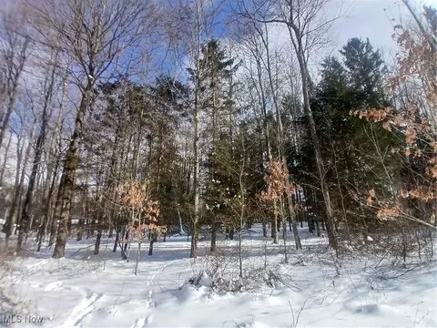 35224 Hull Rd, Salineville, OH 43945