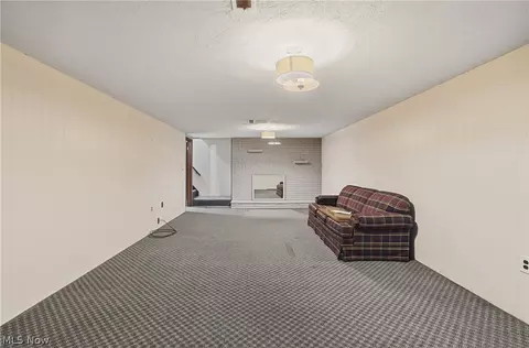 535 W Schultz Ave, Dalton, OH 44618 photo 20