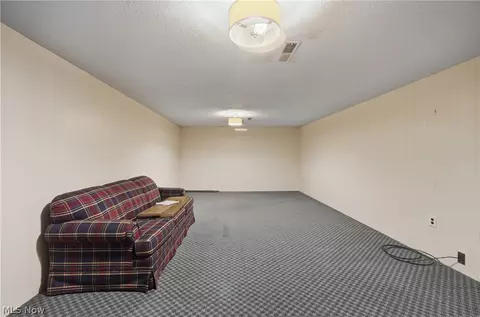 535 W Schultz Ave, Dalton, OH 44618 photo 19
