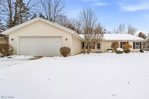 67 Red Pine Dr, Painesville, OH 44077
