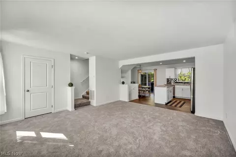 698 Pine Spring Dr, Painesville, OH 44077 photo 19