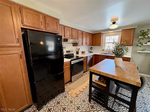 8331 Nowlen St, Mentor, OH 44060 photo 7