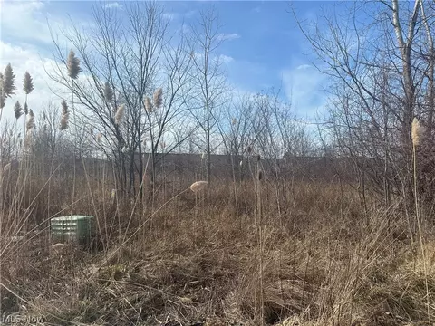 Charles Drive, Lorain, OH 44053