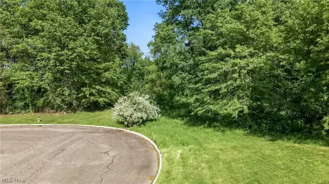 Cheeks Court, Cortland, OH 44410