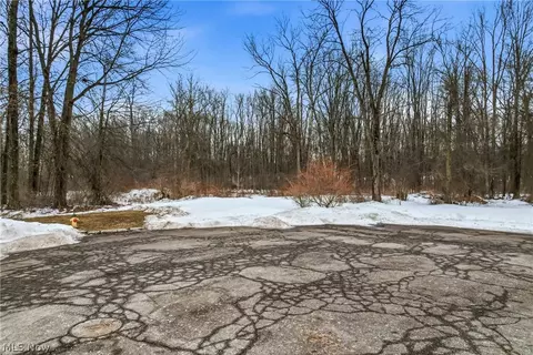 Cheeks Court, Cortland, OH 44410