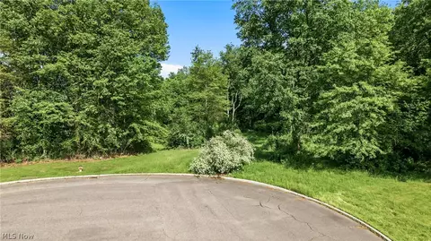 Cheeks Court, Cortland, OH 44410