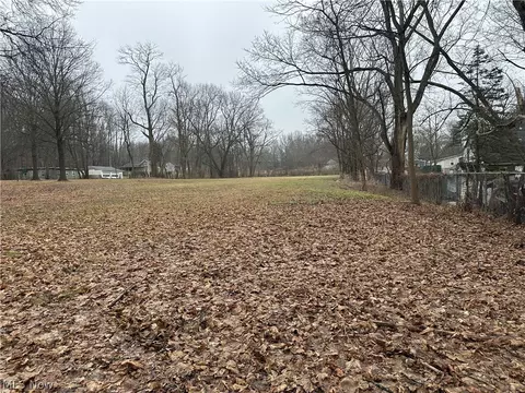 V/l Ellet Avenue, Akron, OH 44312
