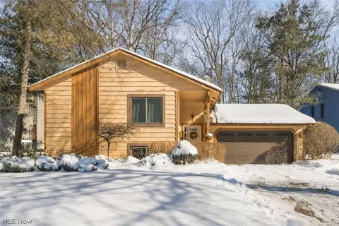 8979 Bluejay Ln, Mentor, OH 44060