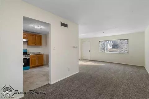 804 Carpenter St, Akron, OH 44310 photo 6