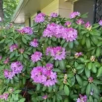 Other - 6445 Lake Ave, Elyria, OH 44035 photo 14 of 16