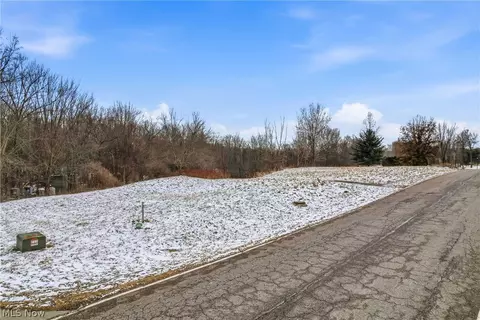Brookhollow Drive, Warren, OH 44481