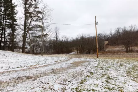10170 N Morrison Rd, Dresden, OH 43821 photo 36