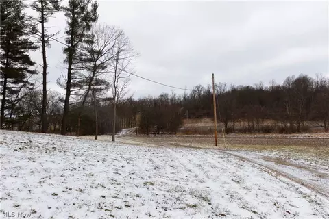 10170 N Morrison Rd, Dresden, OH 43821 photo 34