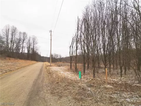 10170 N Morrison Rd, Dresden, OH 43821 photo 12