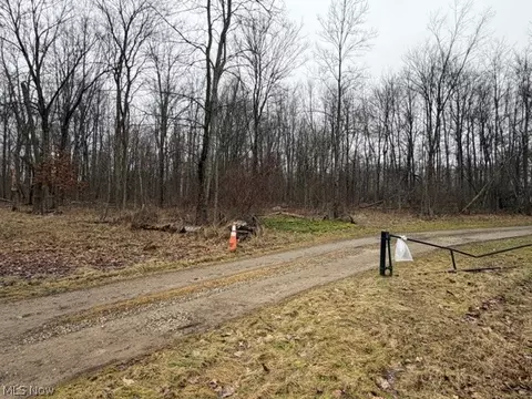 Golf Course Drive, Norton, OH 44203