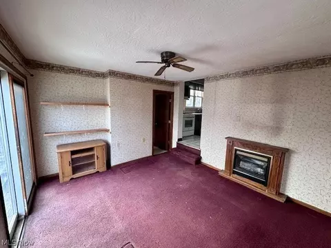 Living - 119 Cornell Ave, Elyria, OH 44035 photo 3 of 3