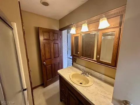 Bath - 119 Cornell Ave, Elyria, OH 44035 photo 3 of 5