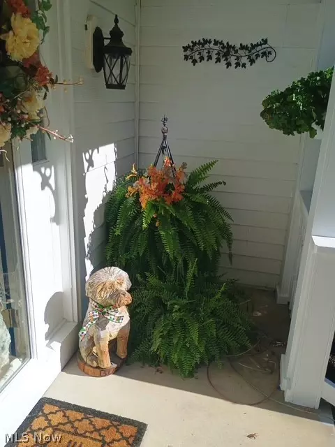 Exterior - 8330 Paddock Ct, Mentor, OH 44060 photo 7 of 10