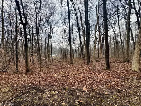 Forest Lane, Nashport, OH 43830