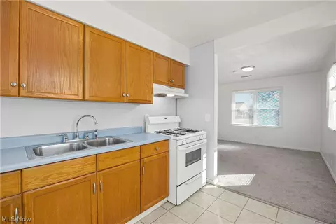 171 S Logan St, Elyria, OH 44035 photo 7