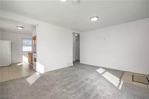 171 S Logan St, Elyria, OH 44035 photo 3