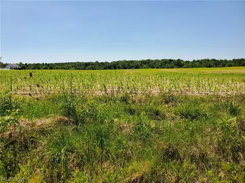Parcel C Nash Road, Middlefield, OH 44062