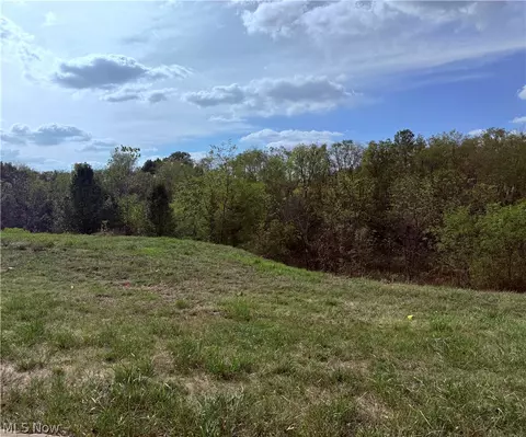 Cara Place, Wintersville, OH 43952