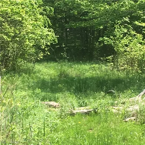 0 Fowlers Mill Rd, Chardon, OH 44024