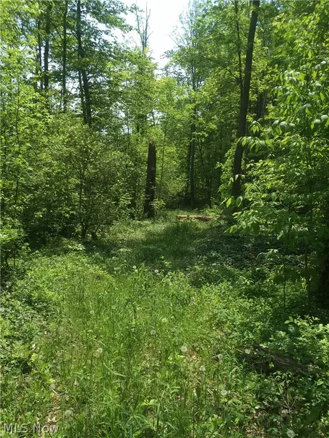 0 Fowlers Mill Rd, Chardon, OH 44024