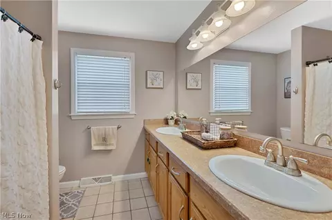 Bath - 1338 Valley View Dr, Boardman, OH 44512 photo 3 of 4