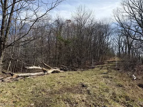 31100 Moravian Trl, Tippecanoe, OH 44699
