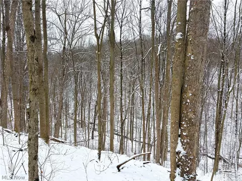 0 Tract 2 Morrs Ridge Rd, Woodsfield, OH 43793