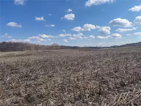 St Rt 603, Lucas, OH 44843 photo 5