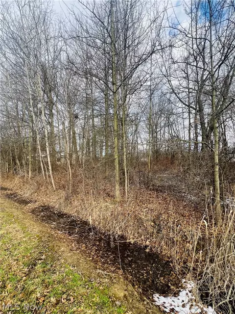 lot115 Breezewood Ln, Orwell, OH 44076