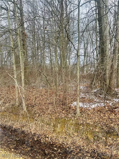 lot113 Breezewood Ln, Orwell, OH 44076