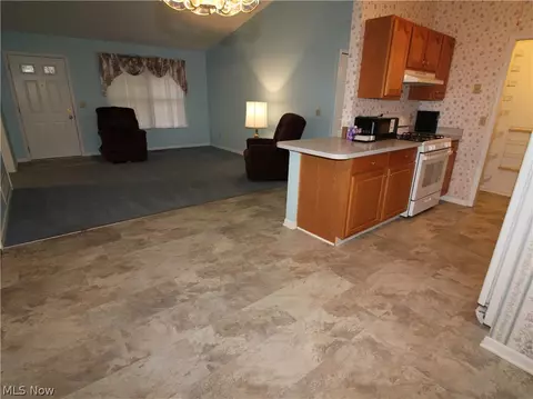 Living - 148 Bentley Dr, Elyria, OH 44035 photo 8 of 9
