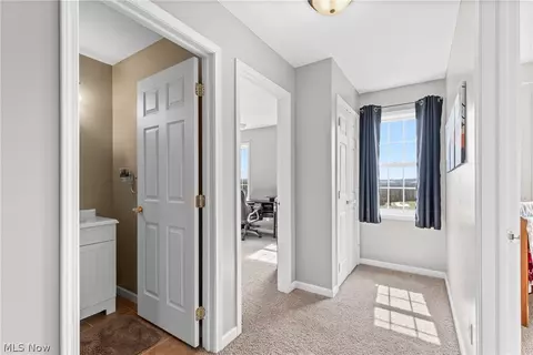 111 Holly Ann, Wheeling, WV 26003 photo 27