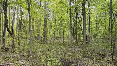 Munson Hill Road, Ashtabula, OH 44004 photo 33