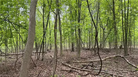 Munson Hill Road, Ashtabula, OH 44004 photo 28