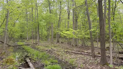 Munson Hill Road, Ashtabula, OH 44004 photo 6