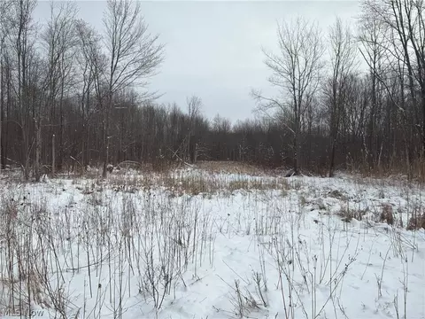 Munson Hill Road, Ashtabula, OH 44004