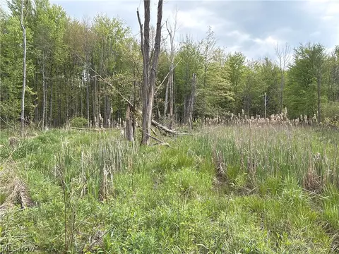 Munson Hill Road, Ashtabula, OH 44004 photo 39