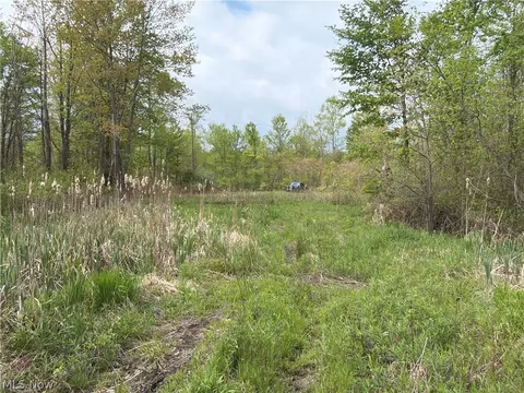Munson Hill Road, Ashtabula, OH 44004 photo 40