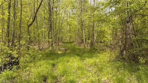Munson Hill Road, Ashtabula, OH 44004 photo 11