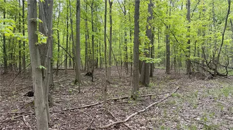 Munson Hill Road, Ashtabula, OH 44004 photo 30